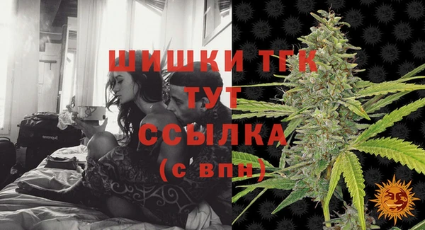 СК Гусь-Хрустальный