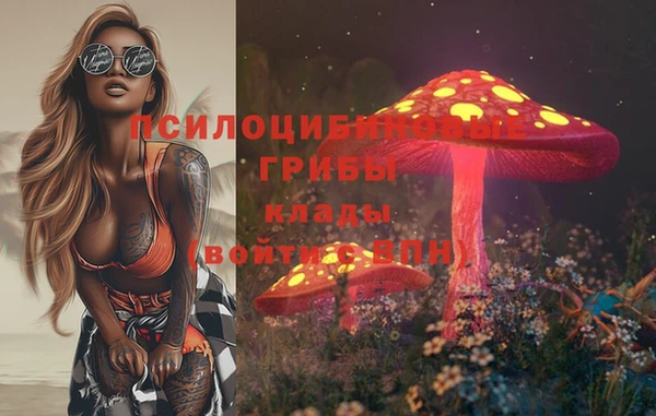 крисы Гусиноозёрск