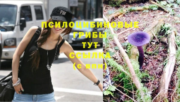 спайс Горнозаводск