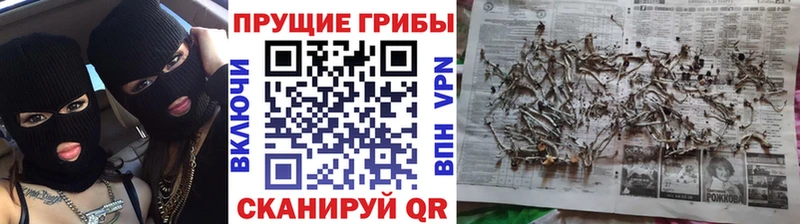 Псилоцибиновые грибы мицелий  Павлово 
